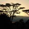 Mugie sunrise