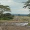 Mugie, C77 Main Road