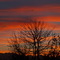 tramonto