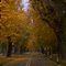 Viale degli Angeli - Cuneo -