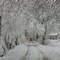 The road to school