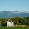 mon viso