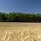 Parco fluviale Gesso e Stura