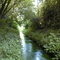 Parco fluviale Gesso e Stura