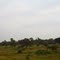 On the way to Mt. Kenya