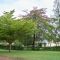 Wang'uru, Mwea