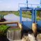 Twin water gates, Mwea Irrigation Scheme, Kenya