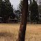 Kiorugari Primary School Panorama