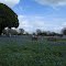 Springtime at the cemetery