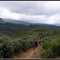 Mt. Kenya National Park