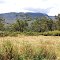 Mt. Kenya
