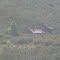 Rutundu Log Cabins, Mt Kenya National Park