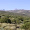 monte Kenya
