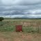Lionproof Bomas-Bornfree Foundation