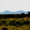  Lake Jipe