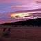 Just annother sunset