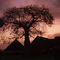 Kenia tramonto savana