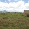 Arusha - Mombasa
