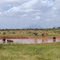 Tsavo East National Park - 02.2010