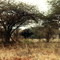 Kenya,2002