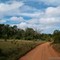 Shimba Hills