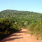 Shimba Hills, Kenya