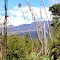 Mt. Kenya