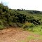 Chogoria Route, Mt. Kenya