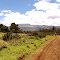Chogoria Route