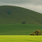 near Nanyuki, Mt. Kenya region