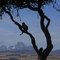 monte kenya