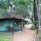 Crocodile Camp, Tsavo East, April 2007