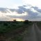 Tramonto savana