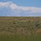 Desert Grasslands