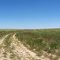 The Road East