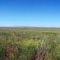 On the Road to Mule Butte