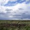 Along the Bear Trap Service Road