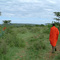Massai