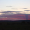 Masai Mara Sunset