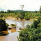 Hipopótamos en el río Mara (Masai Mara)