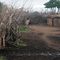 Masai Village, MasaiMara, Kenia