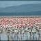 NAKURU