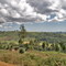 The Landscape around Narok