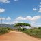 Arusha - Mombasa; Lunch stop
