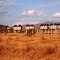 Tsavo National Park, Kenya