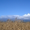 My first Kilimanjaro