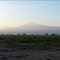 Le Soleil se lève sur la savane et le Kilimandjaro