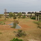 Kenya - Salt Lick Lodge