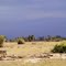 African lanscape, Before the thunderstorm (1) - Paysage africain, Avant l'orage