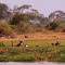 By the lake at Voyager Ziwani